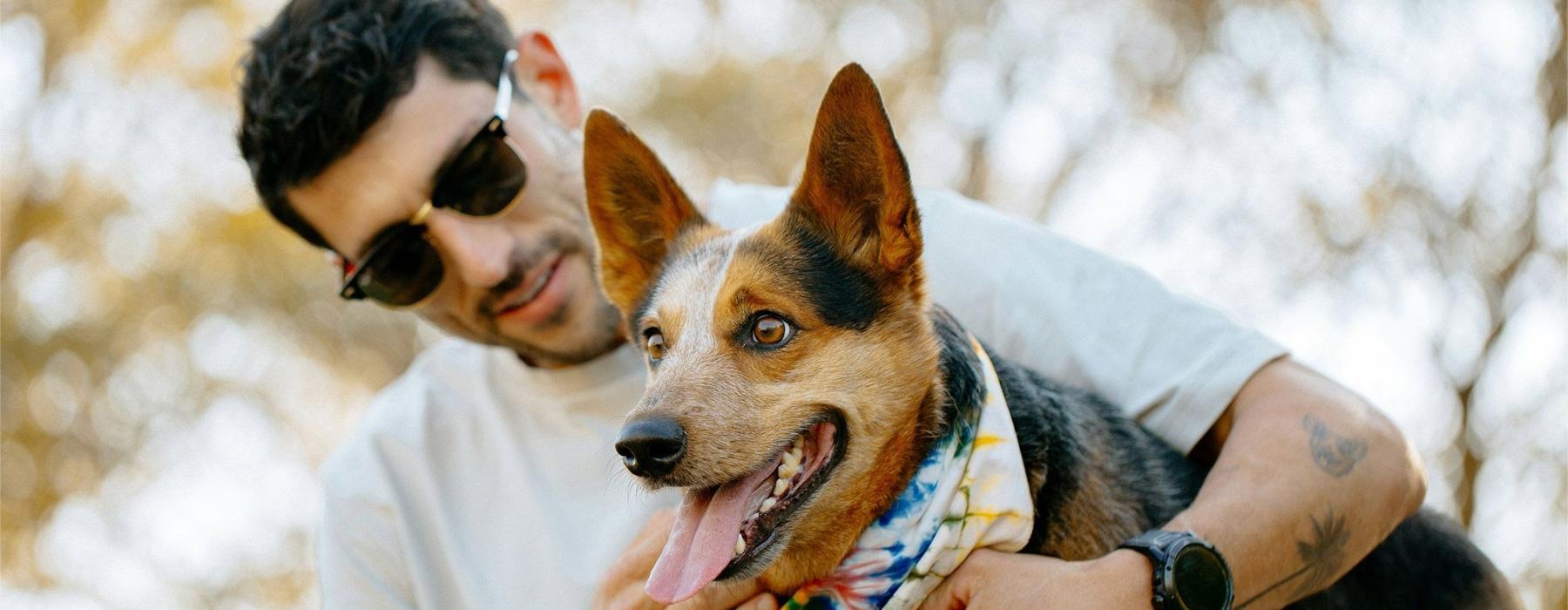 a person holding a dog